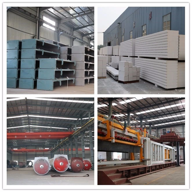 China Manufacturer AAC Block Manufacturing Plant for Sale